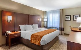 Comfort Inn Layton