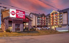 Mountain Melodies Inn