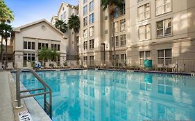 Homewood Suites By Hilton Orlando-Intl Drive/Convention Ctr photos Exterior