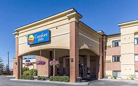 Butte mt Comfort Inn