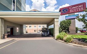 Comfort Inn Woodbridge Nj