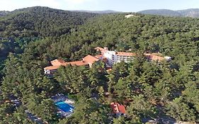 Forest Park Hotel