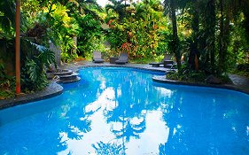 The Lost Iguana Resort